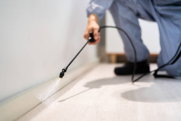 Bed Bug Pre-Treatment Preparation Assessment in Opelika
